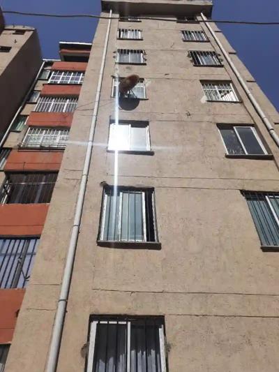 Koye Feche - , 1 Bedroom, 1 Bathroom, 64 Square Meters, for Sale