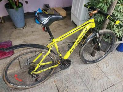 phoenix drift mtb