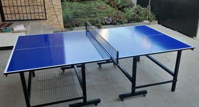 Table Tennis