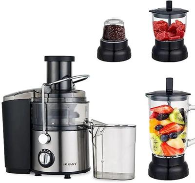 Sonkany juice extractor