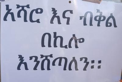 ሽሮ