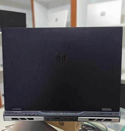 Acer predator