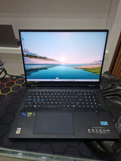 Acer predator